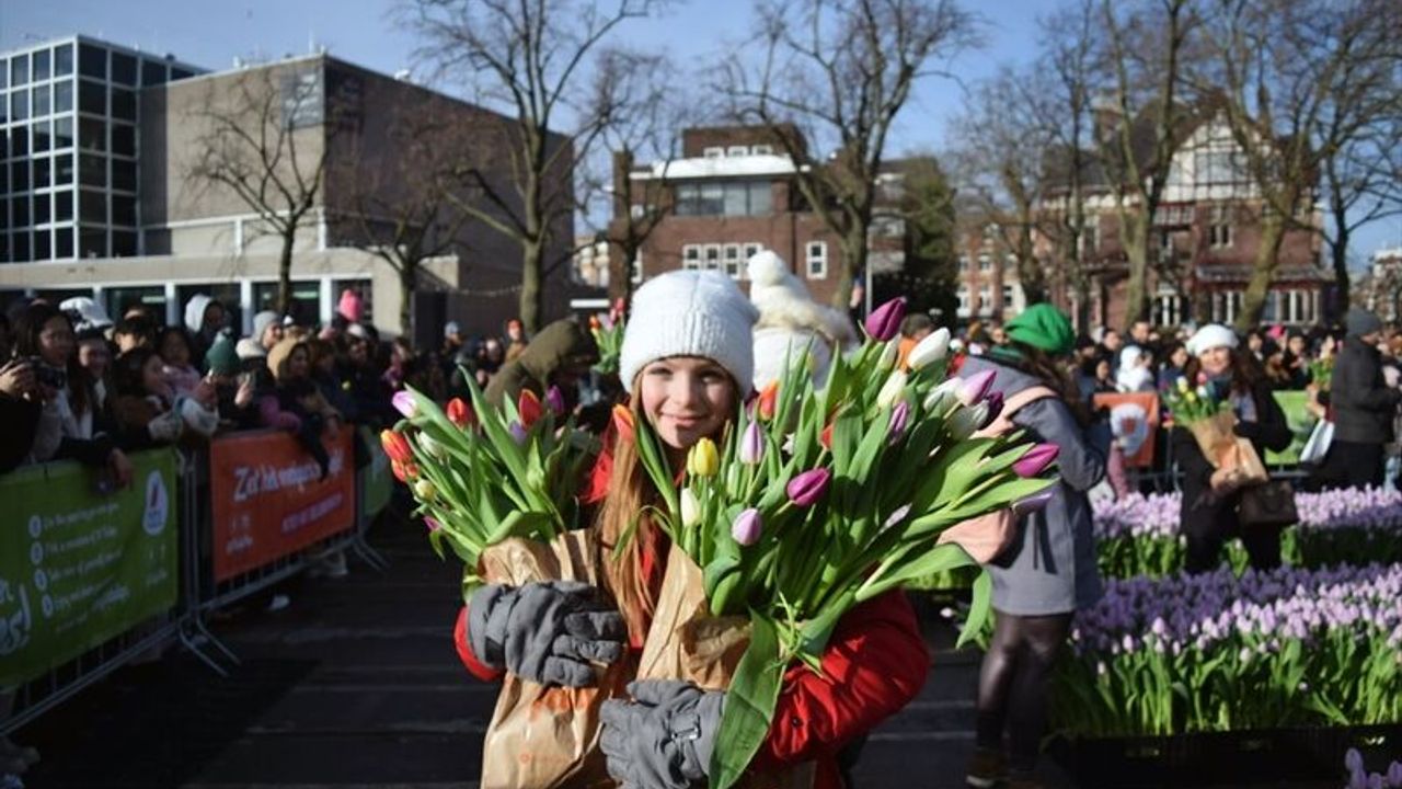 Amsterdam lale bahçesine döndü, Ulusal Lale Günü'nden kareler