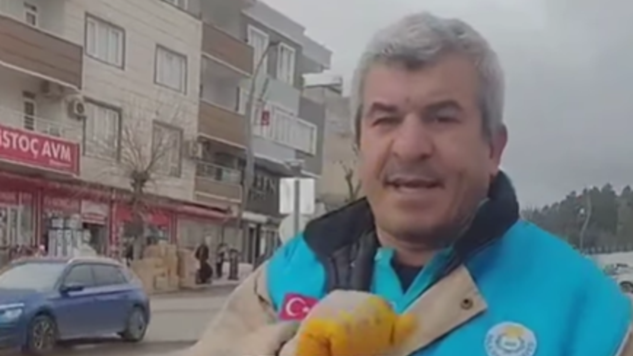 Hayvanlar için bırakılan mamalar temizlik görevlisini isyan ettirdi!