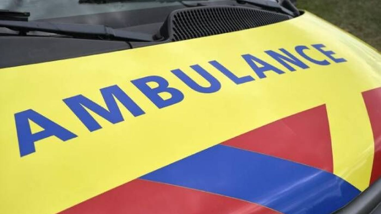 Hollanda’da her gün ortalama 2 kişi trafikte hayatını kaybediyor