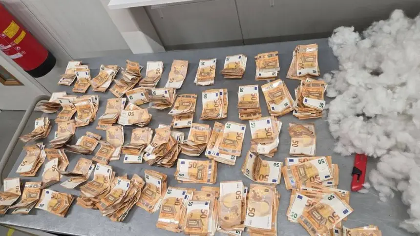 Hollanda’da oyuncak ayının içinden 50 bin euro çıktı