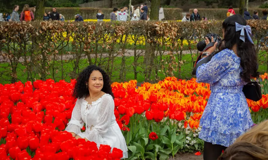 Hollanda’nın en büyük lale bahçesi Keukenhof 77’nci kez kapılarını açtı