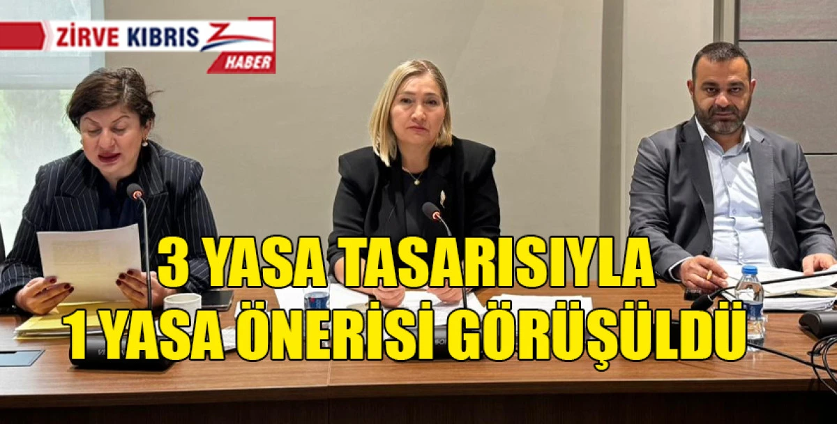 Hukuk, Siyasi İşler, Dışilişkiler ve Savunma Komitesi toplandı