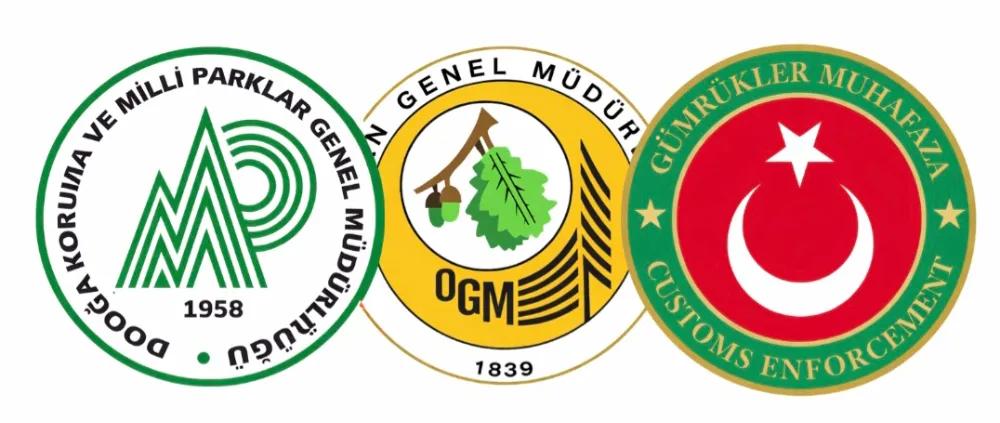 KAMU GÖREVLİLERİNE TOPLU ULAŞIM DÜZENLEMESİ RESMÎ GAZETE’DE YAYIMLANDI