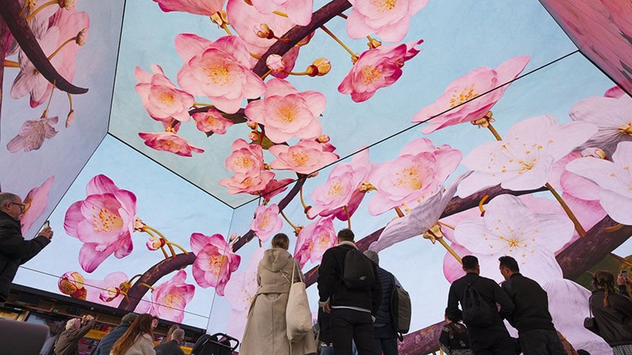 Londra'da yapılan dijital sanat gösterisi büyüledi