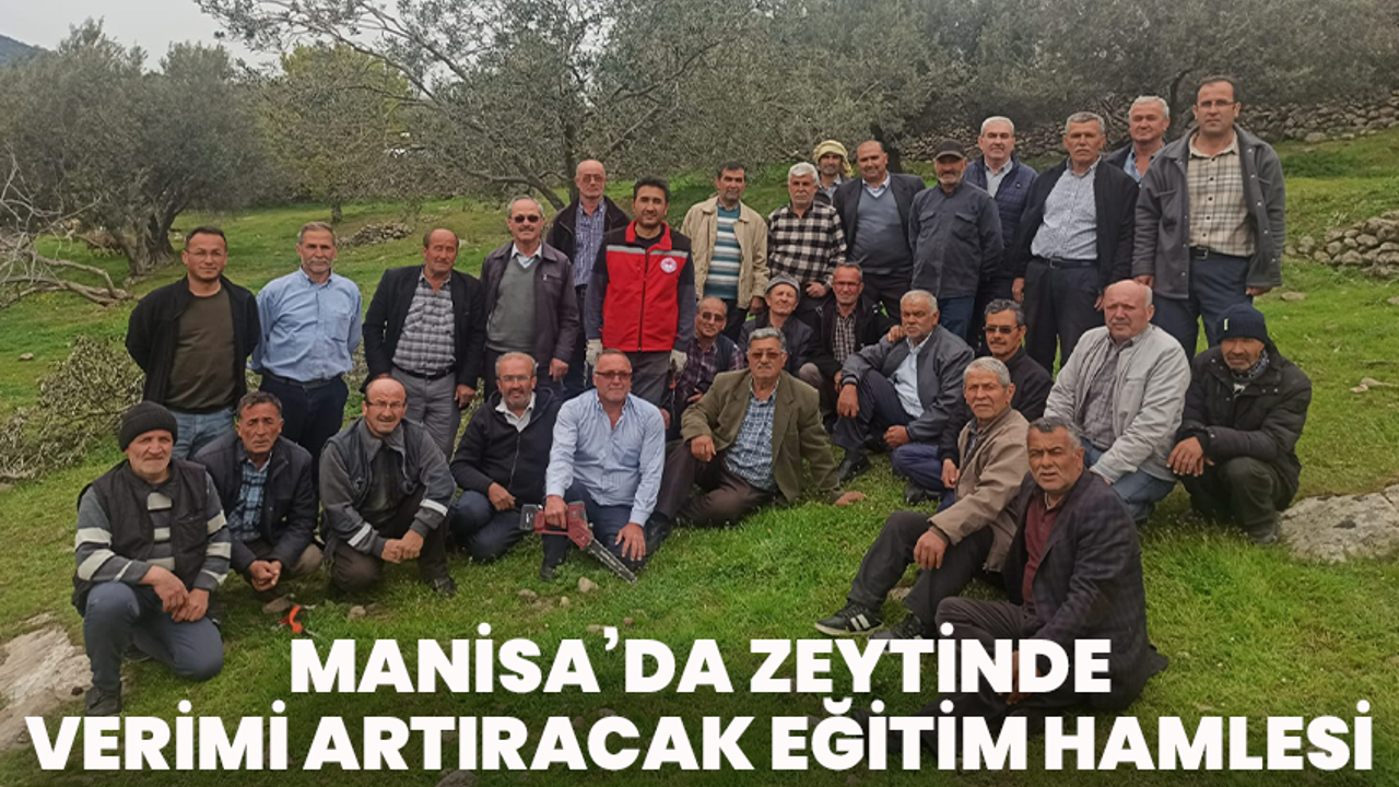 Manisa’da Zeytinde Verimi Artıracak Eğitim Hamlesi