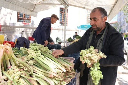 O sebze tezgahlarda: Kilosu 400 TL’den alıcı buluyor