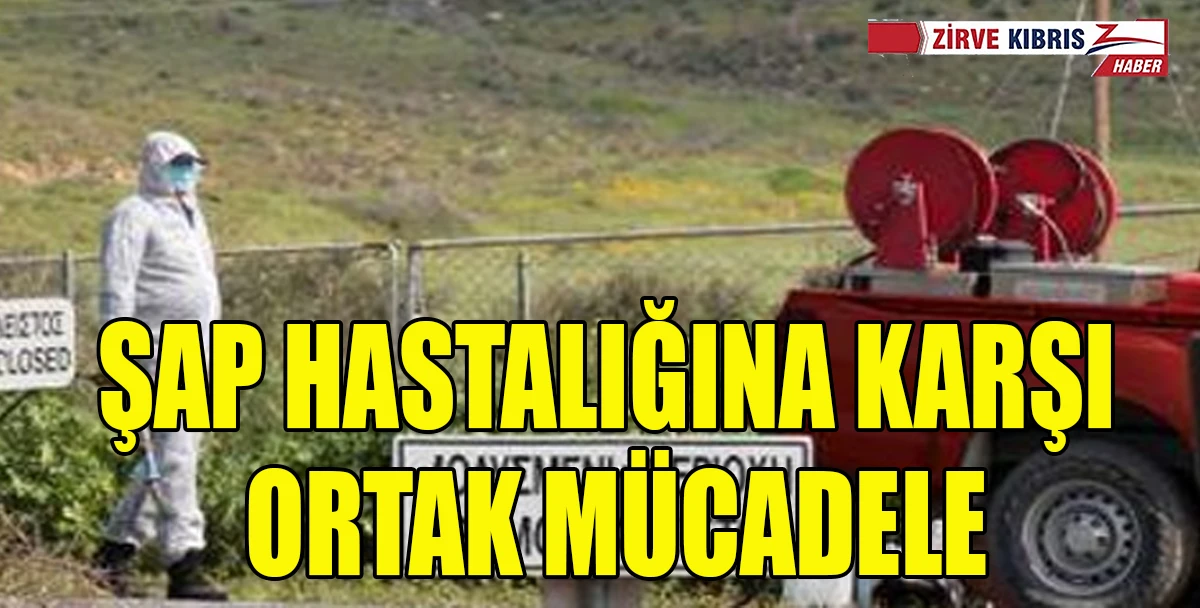 Şap hastalığıyla mücadelede iki toplumlu teknik komite toplantısı gündemde