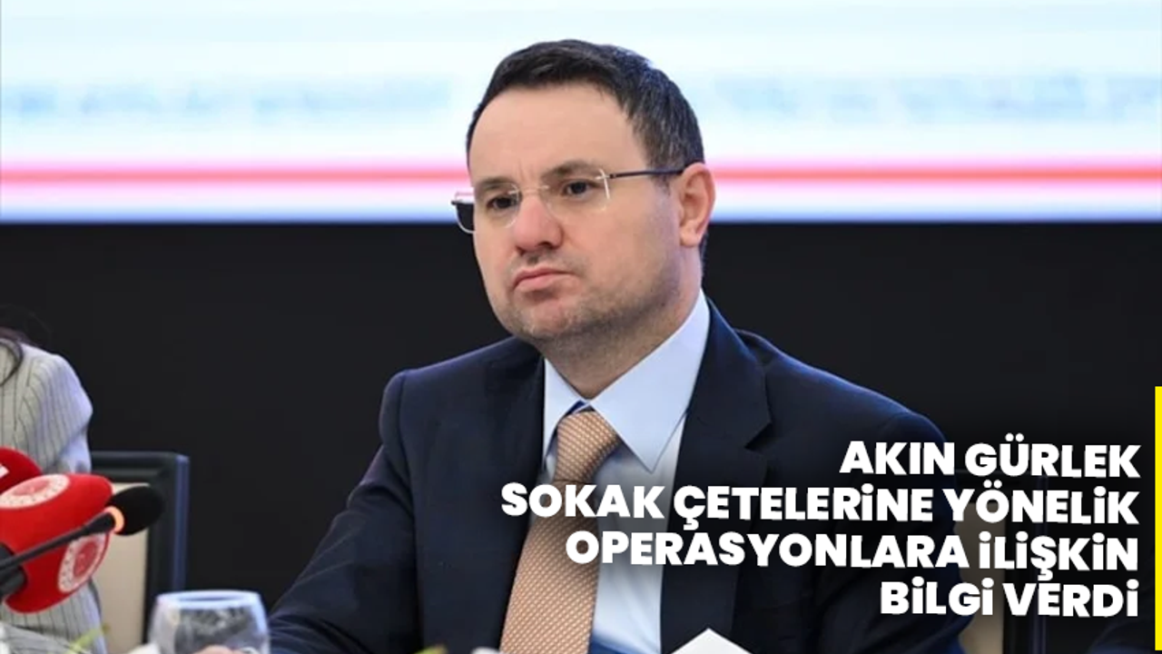 Sokak çetelerine darbe: 8 ilde operasyon