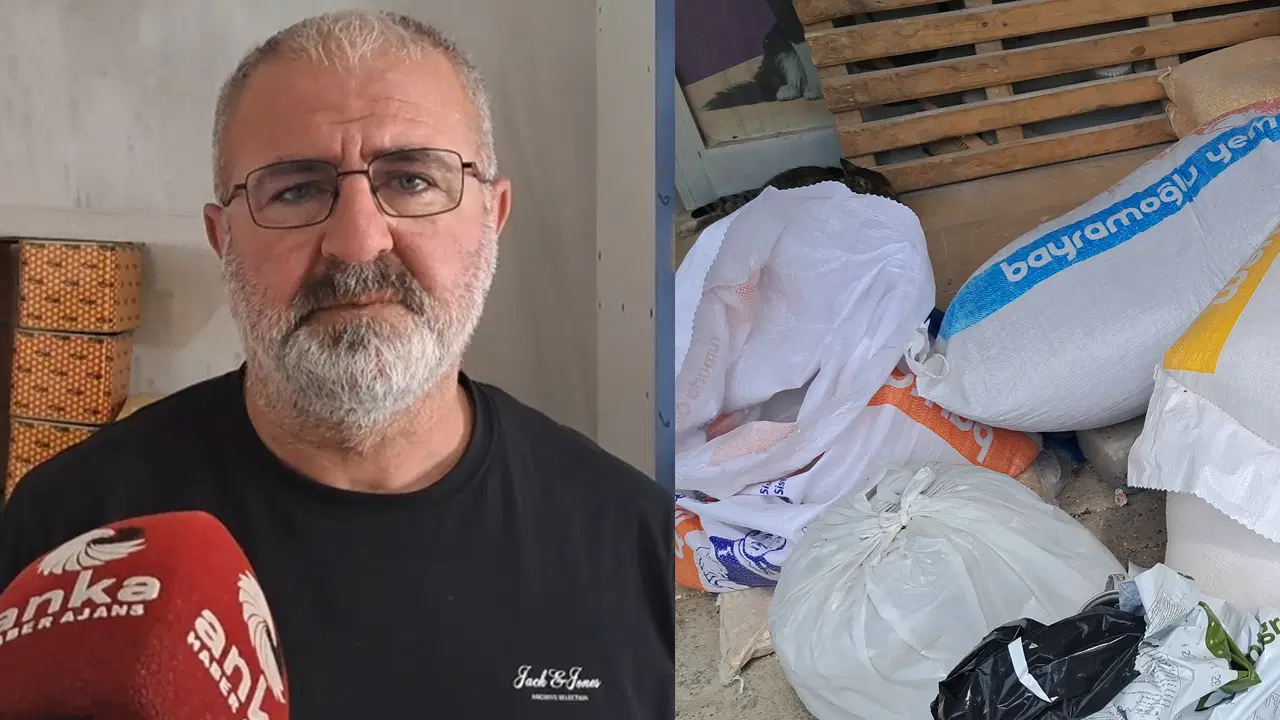 Artvin'de hayvancılık alarm veriyor: 'Çalışan değil, parasını bekleten kazanıyor'