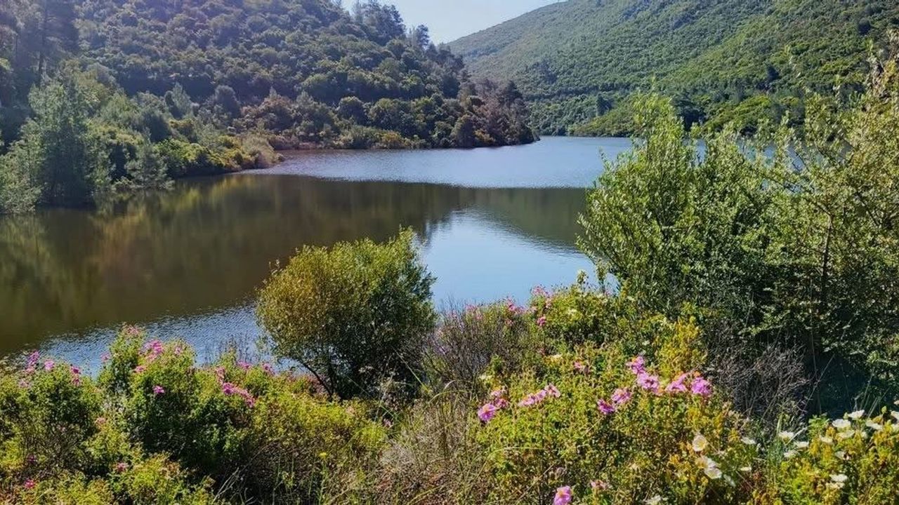 Aydın’ın doğal mirası tehlikede! Çevrecilerden acil çağrı