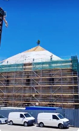 Bayezid Camii çatısına ağaç!