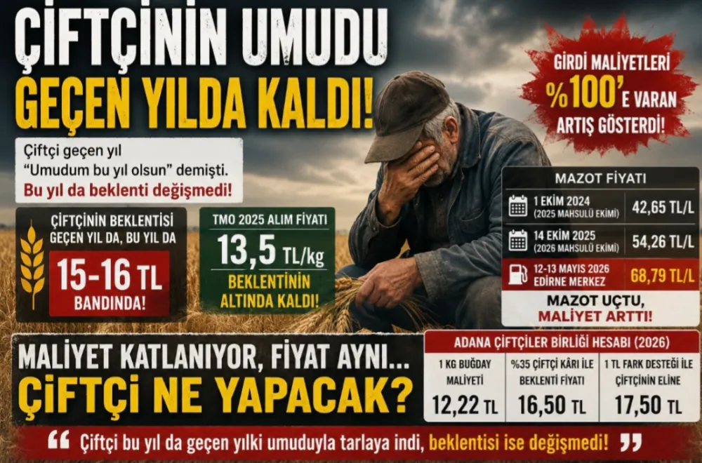 ÇİFTÇİNİN UMUDU GEÇEN YILDA KALDI 