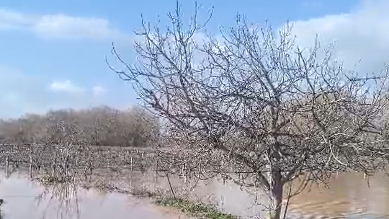 Gediz Nehri tarım arazilerini yuttu