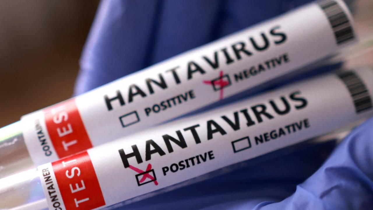 Hantavirüs vakaları neden artıyor? Uzman isim açıkladı