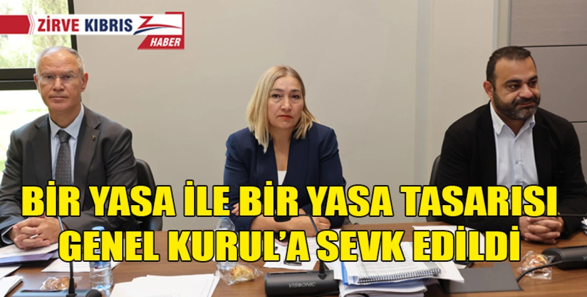 Hukuk, Siyasi İşler, Dışilişkiler ve Savunma Komitesi toplandı