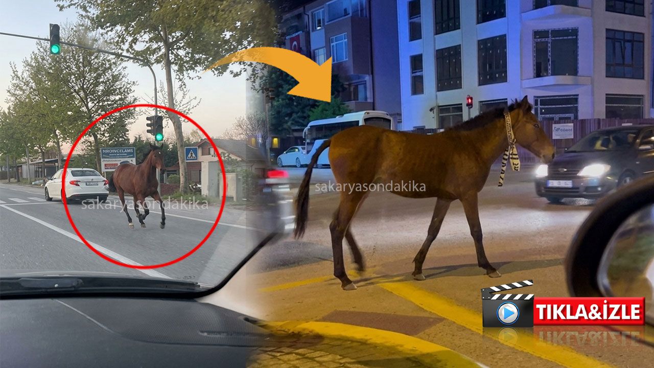 Karasu-Adapazarı yolunda trafiği birbirine kattı...Dikkat et, sonun sucuk olmasın