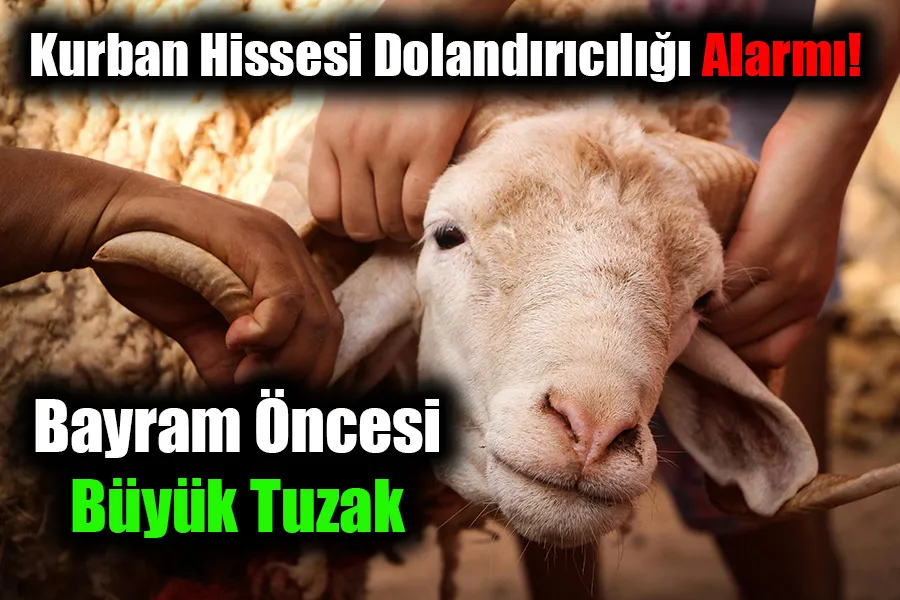 Kurban Hissesi Dolandırıcılığı Alarmı! Bayram Öncesi Büyük Tuzak