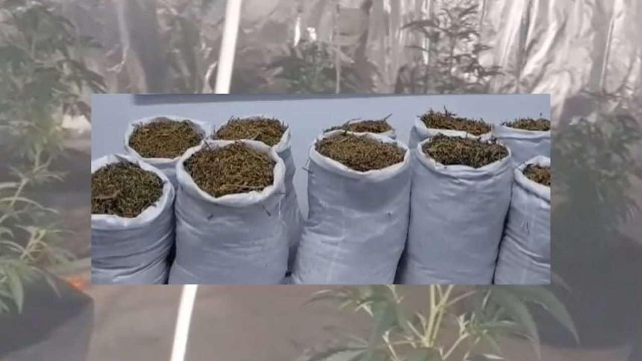Kuşadası’nda 22 kilo kubar esrar operasyonu!