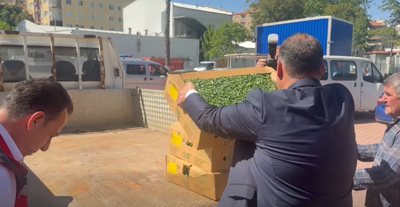 Manisa’da Üreticiye Dev Destek: Fideler Dağıtıldı