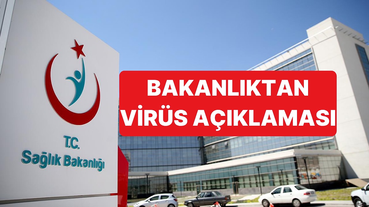 Sağlık Bakanlığı Hantavirüsü Görülen Gemideki 3 Türk'te Virüs Semptomu Bulunmadığını Açıkladı