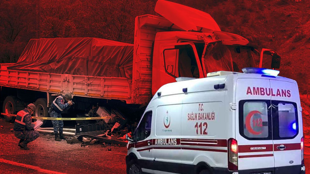 Söğütlü'de feci kaza...Kamyonun kontrolünü kaybetti, hayata tutunamadı