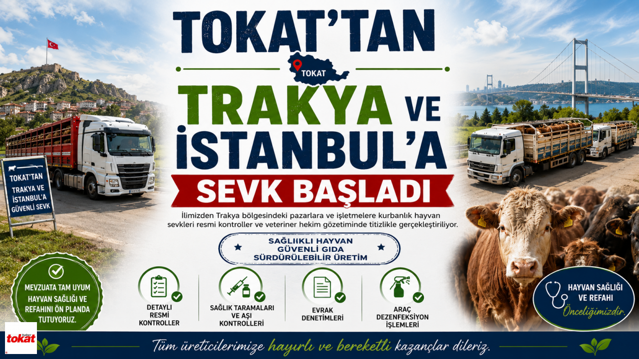 Tokat’tan Trakya ve İstanbul'a Sevk Başladı