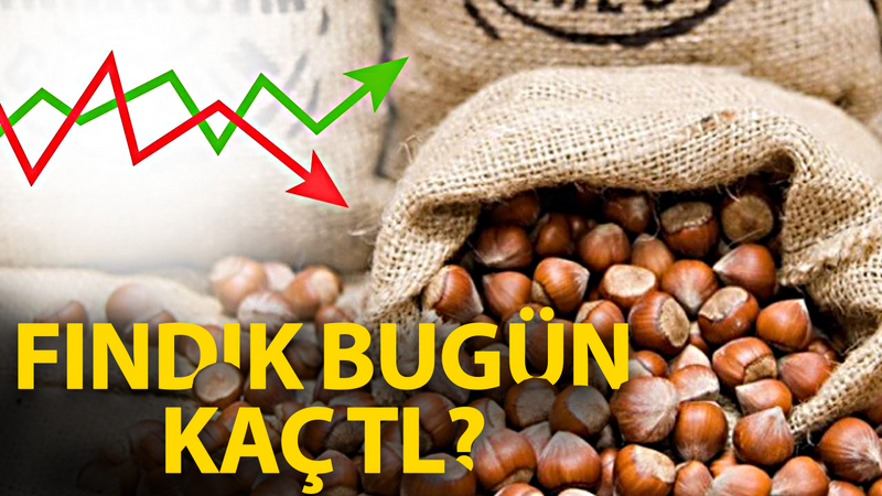 18 Haziran 2026 güncel Sakarya fındık fiyatları kaç TL oldu?
