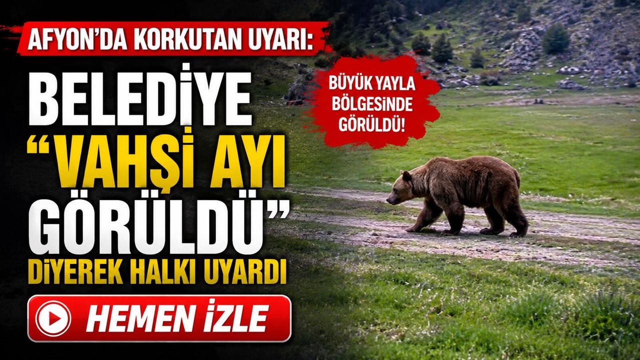 Afyon’da korkutan uyarı: Belediye “vahşi ayı görüldü” diyerek halkı uyardı