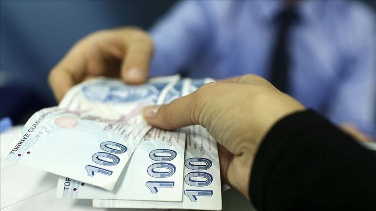 Aydınlılar dikkat: Bu bitkiyi kopartan görülmemiş ceza ödeyecek!
