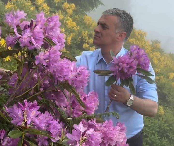 Başkan Mustafa Bıyık, Ekrem İmamoğlu İçin Komar Çiçeği Topladı