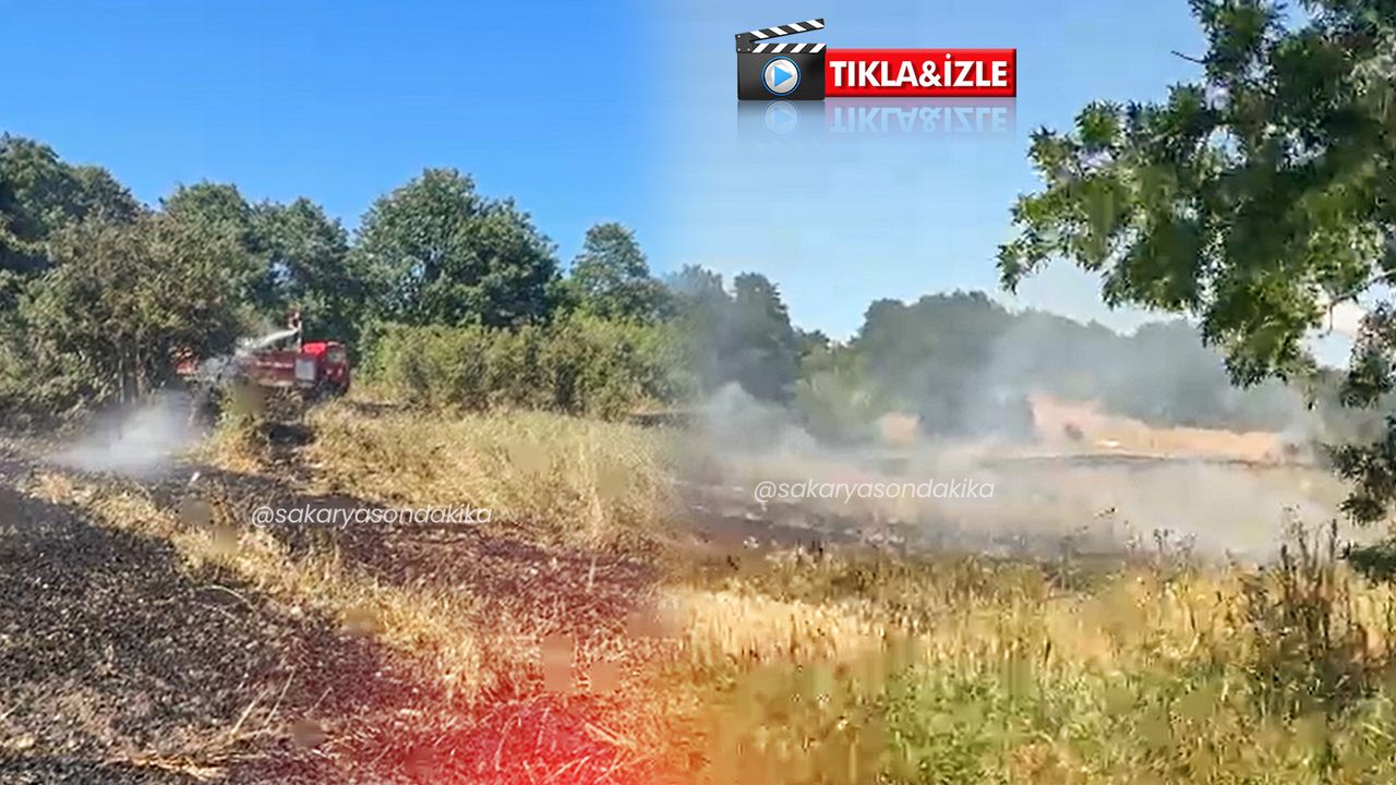 Ferizli’de korkutan yangın! Dumanı gören vatandaşlar seferber oldu