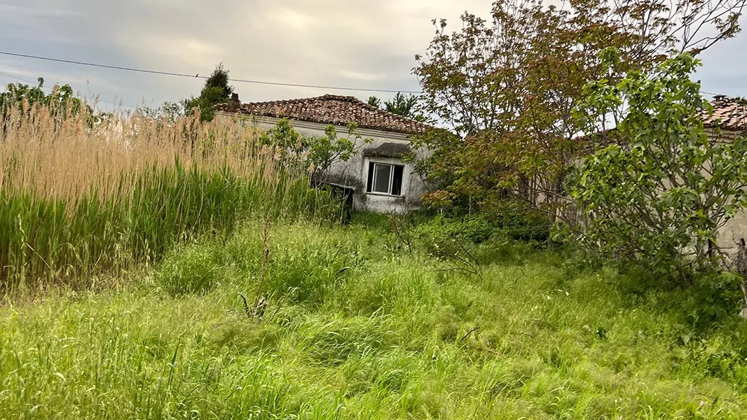Yangın sezonu öncesi: “Arsa temizliği zorunlu, beyan dijital ortamda yapılacak”