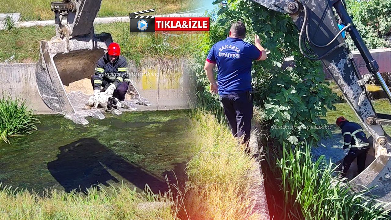 Yazlık'ta iç ısıtan o anlar kamerada