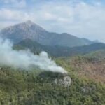 Antalya ve Balıkesir’de orman yangını