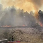 Bolu’da orman yangını: Havadan ve karadan müdahale sürüyor Bolu’da orman yangını: Havadan ve karadan müdahale sürüyor