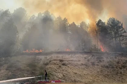 Bolu’da orman yangını: Havadan ve karadan müdahale sürüyor Bolu’da orman yangını: Havadan ve karadan müdahale sürüyor