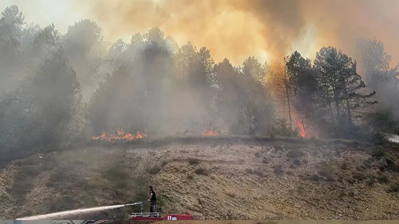 Bolu’da orman yangını: Havadan ve karadan müdahale sürüyor
