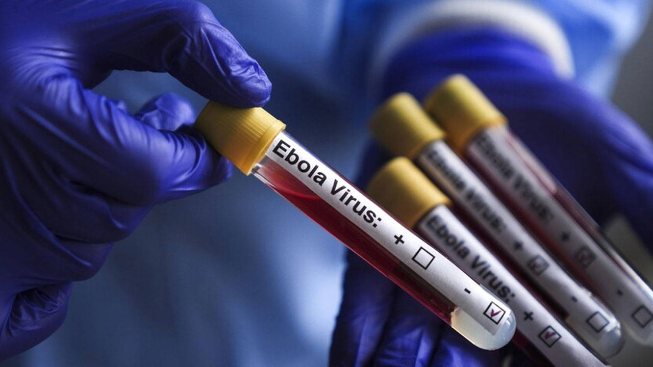 DSÖ’den Ebola alarmı: Kongo’da 900’den fazla şüpheli vaka tespiti DSÖ’den Ebola alarmı: Kongo’da 900’den fazla şüpheli vaka tespiti