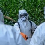 Ebola salgını yayılıyor: Uganda’da vaka sayısı arttı