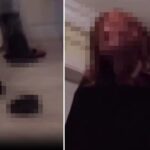 İnfial yaratan görüntüler! Kaplumbağayı ezerek öldüren kadın serbest bırakıldı