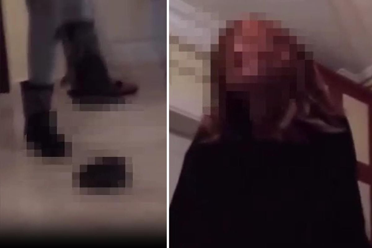 İnfial yaratan görüntüler! Kaplumbağayı ezerek öldüren kadın serbest bırakıldı İnfial yaratan görüntüler! Kaplumbağayı ezerek öldüren kadın serbest bırakıldı