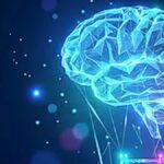 Kafatasının içinde keşfedildi: O hastalığa karşı harekete geçiyor Kafatasının içinde keşfedildi: O hastalığa karşı harekete geçiyor
