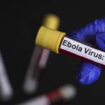Kongo Demokratik Cumhuriyeti’ndeki Ebola salgınında vaka sayısı 1000’i aştı Kongo Demokratik Cumhuriyeti’ndeki Ebola salgınında vaka sayısı 1000’i aştı