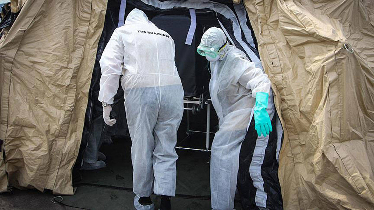 Kongo’daki Ebola salgınında ölü ve vaka sayısı artıyor Kongo’daki Ebola salgınında ölü ve vaka sayısı artıyor