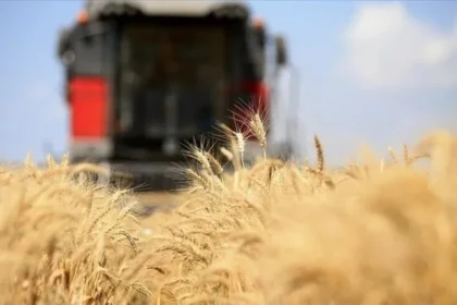 Küresel gıda fiyatları 3,5 yılın zirvesinde