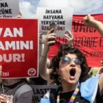 Kütahya’da kedi vahşeti: Başını ve ayaklarını kesip apartmanın önüne bıraktılar
