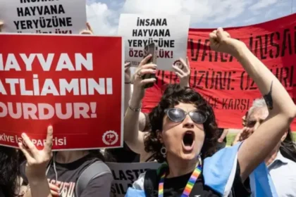 Kütahya’da kedi vahşeti: Başını ve ayaklarını kesip apartmanın önüne bıraktılar