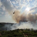 Manisa’da orman yangını. Havadan ve karadan müdahale sürüyor