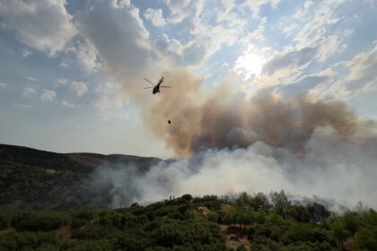 Manisa’da orman yangını. Havadan ve karadan müdahale sürüyor