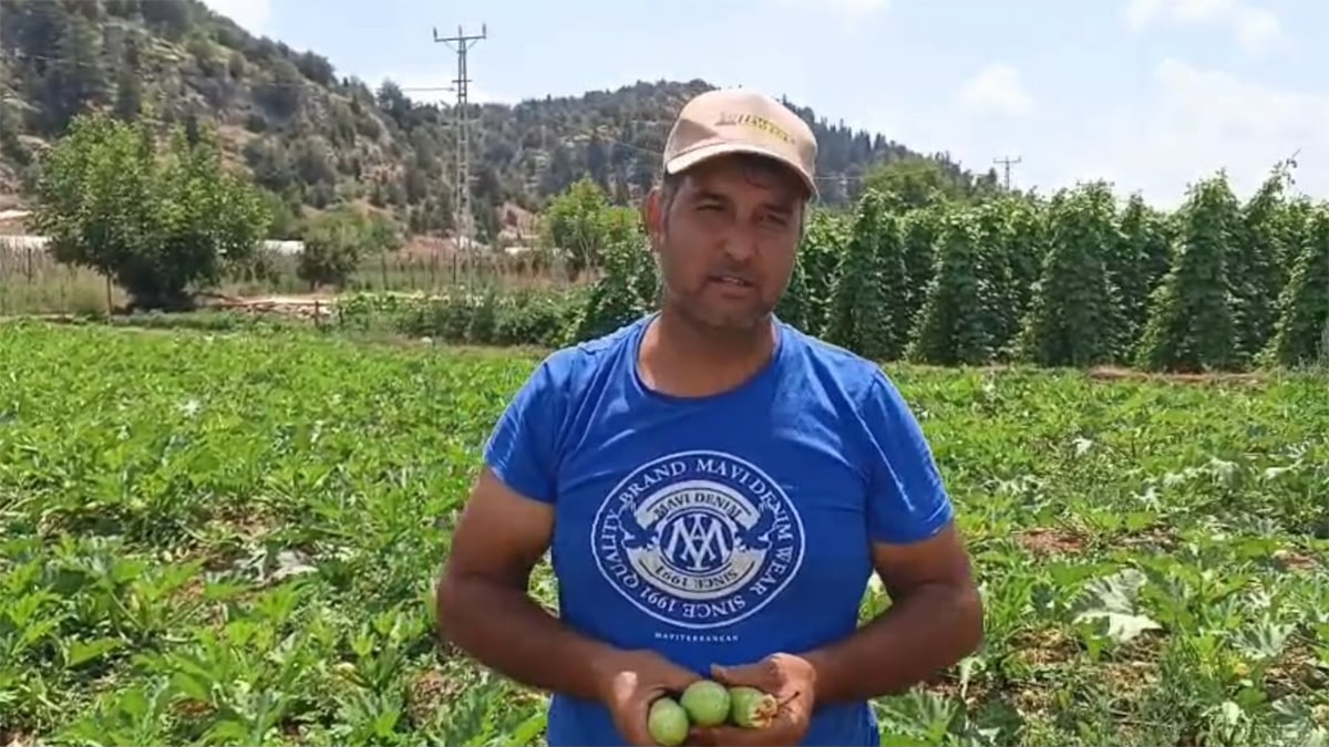 Mersin’de üreticiler isyan etti: Tarlada 15-38 TL, markette 90-138 TL